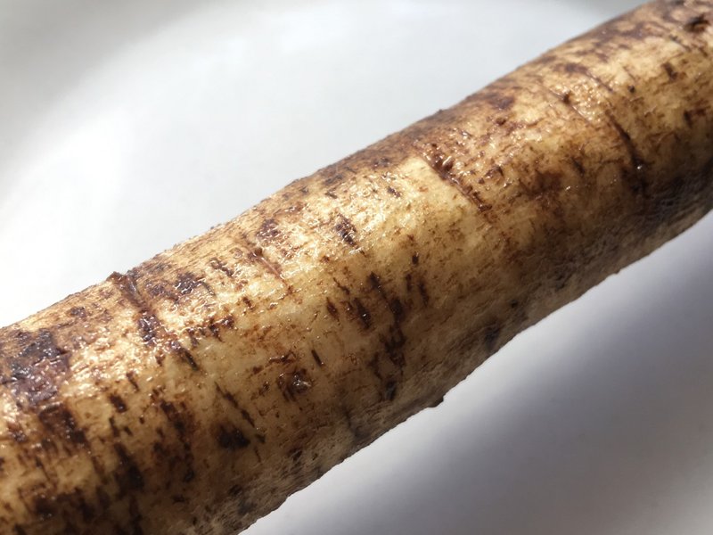Study12 ゴボウの皮はどこまで剥くべきか 部位ごとの味の違い 野菜labo 田野実 温代 Note