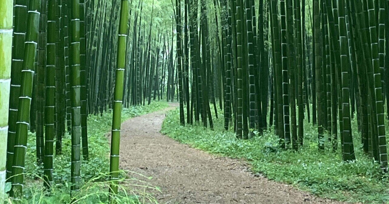 No.413 自然｜ユウすけ