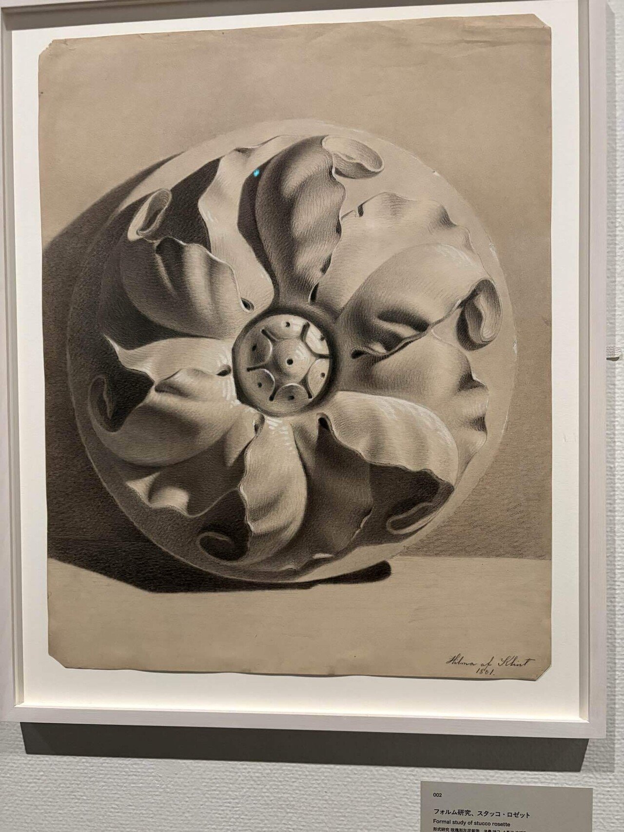 🌹薔薇は魂のかたち──ヒルマ・アフ・クリントを観るまなざし｜veronica