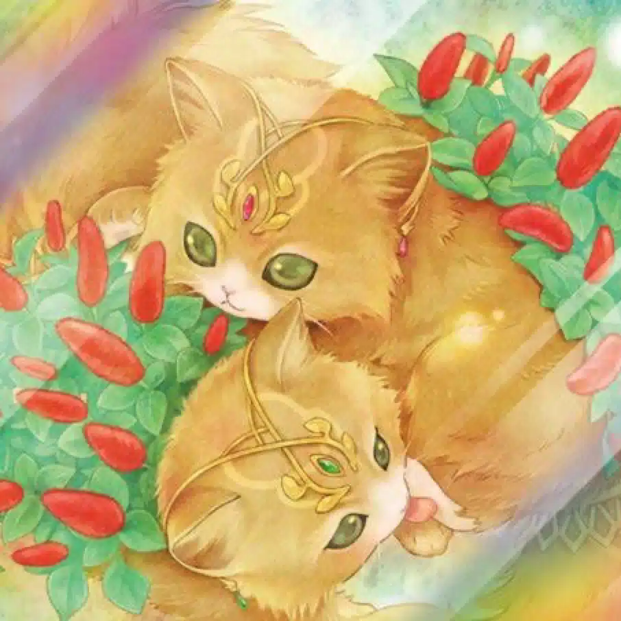 ねこもり　遊戯王情報発信者