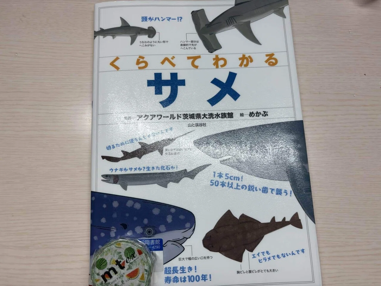 本屋さん使って自己紹介【水族館・星空】｜きょん