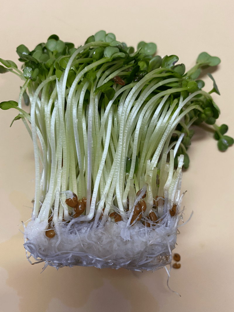 超健康 スーパーフード ガン予防 ダイエットにもおすすめな食材 ヨシモトキクヤ Note