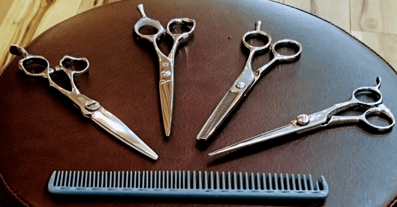 ９月２日まで限定値下げ　六爻扶抑断易占断法【匿名配送】 9月2日まで限定値下げ 六爻扶抑断易占断法【