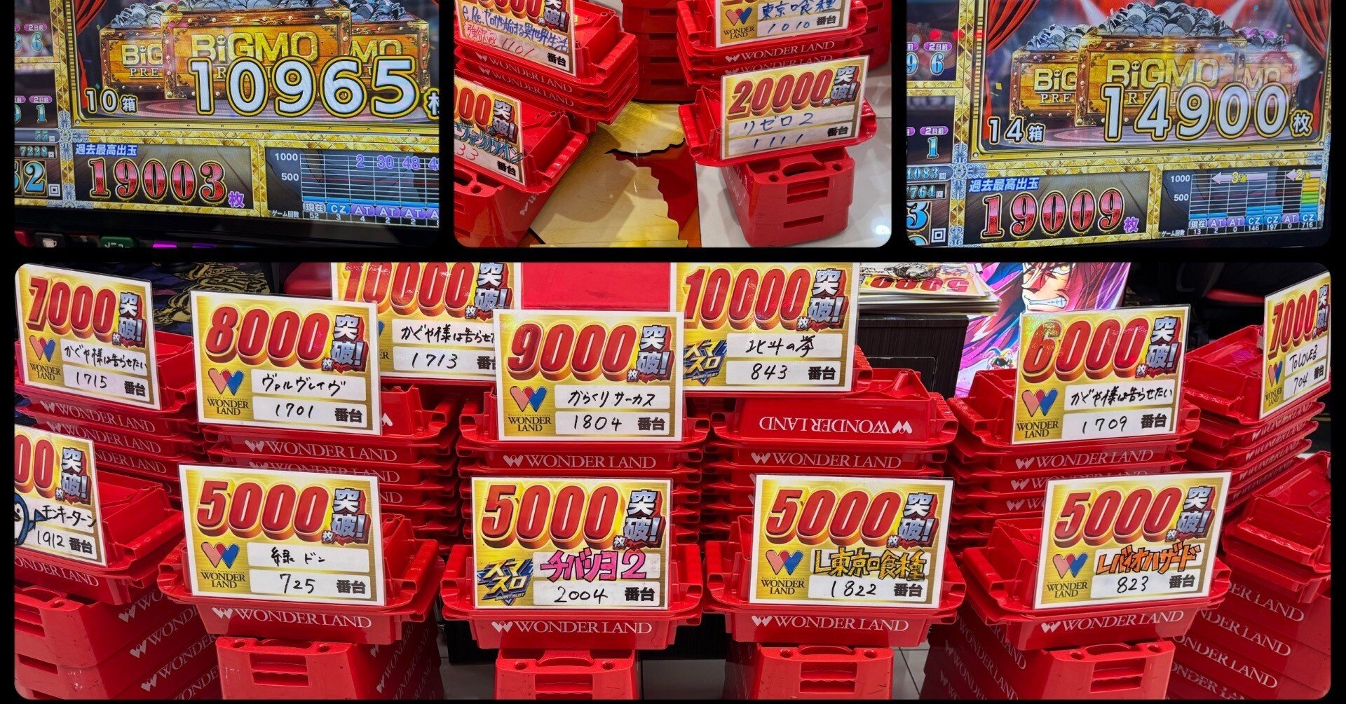 🐼もぐれぽ🐼inワンダーランド諫早店｜ゆきち@mgmg-panda🐼🐾