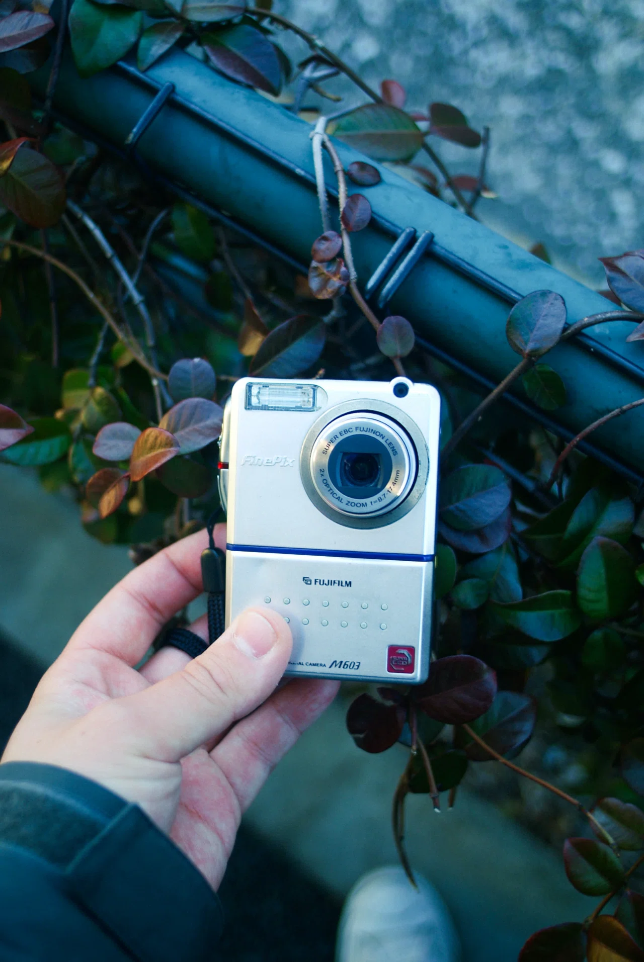 知らんやつほど高騰中。FinePix M603、なぜ君は10万円もするのか|けいふ 知らんやつほど高騰中。FinePix M603、なぜ君は10万円もするのか|けいふ