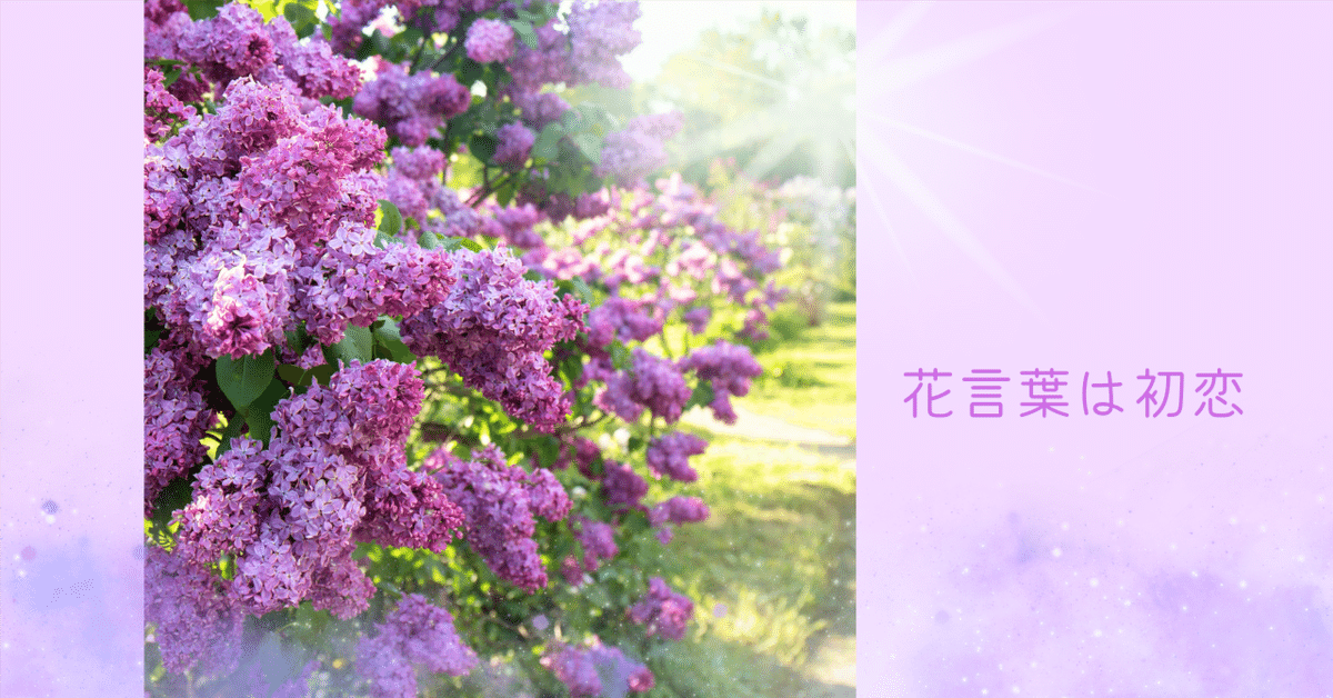 紫寶珠『愛の誕生花占い』 Amazon.co.jp: 愛の誕生花占い : 紫寶珠: 本