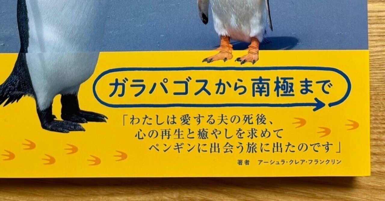 なぜペンギンなのか｜水源純 Minamoto Jun