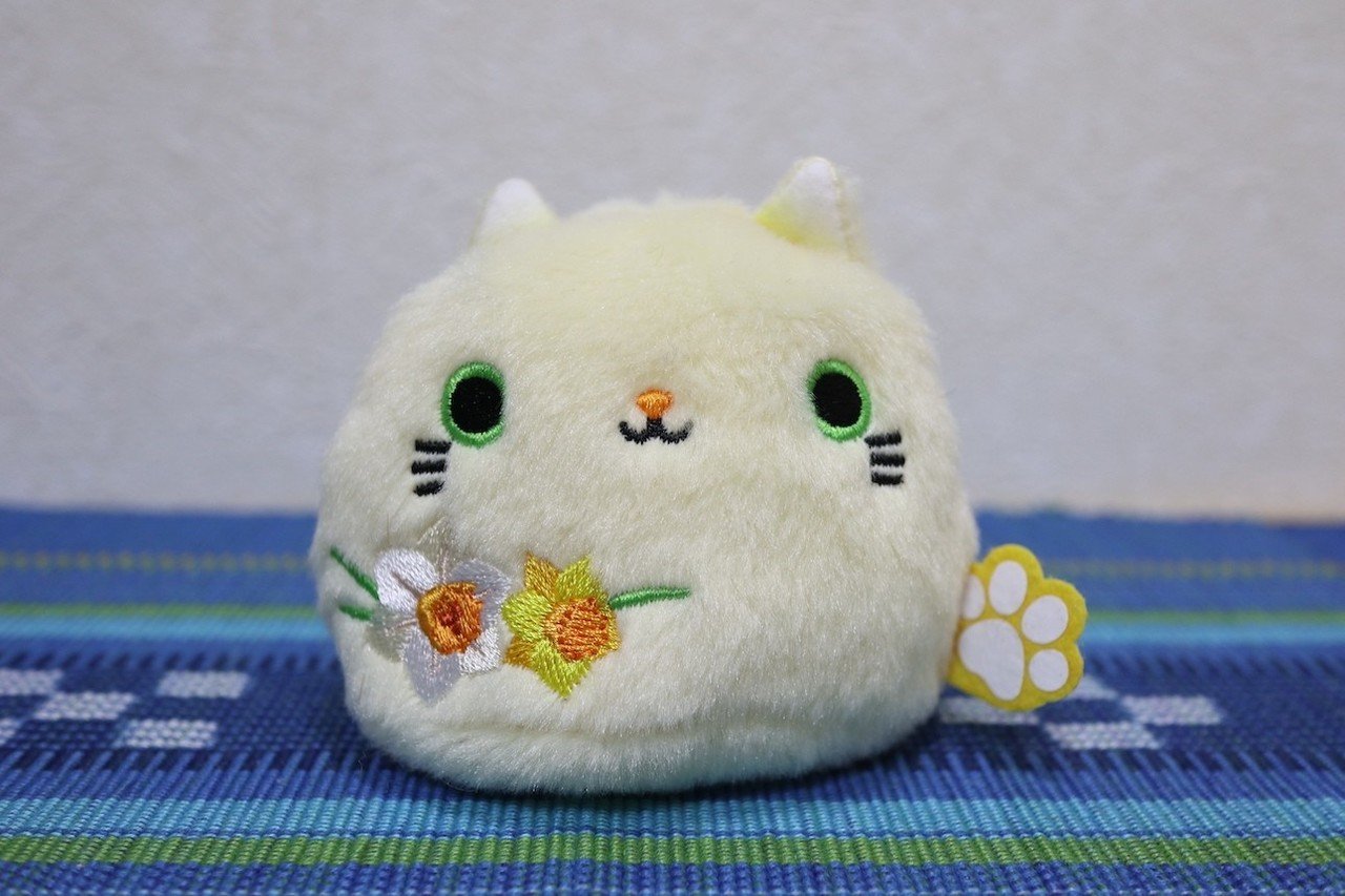 吉祥寺マルイの猫雑貨店から来た猫たち うぬ山 Note 吉祥寺マルイの猫雑貨店から来た猫たち うぬ山 Note