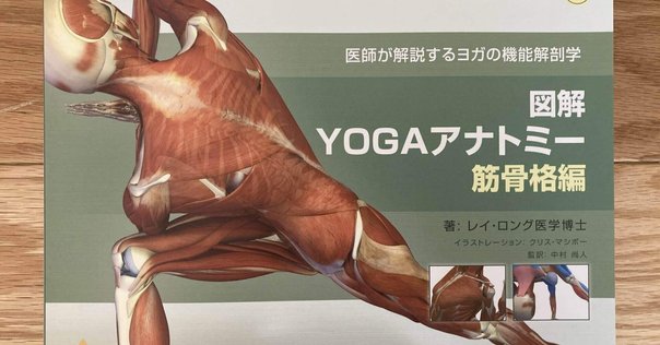 Amazon.co.jp: NYSORA© Hadzicʼs 超音波ガイド下末梢神経