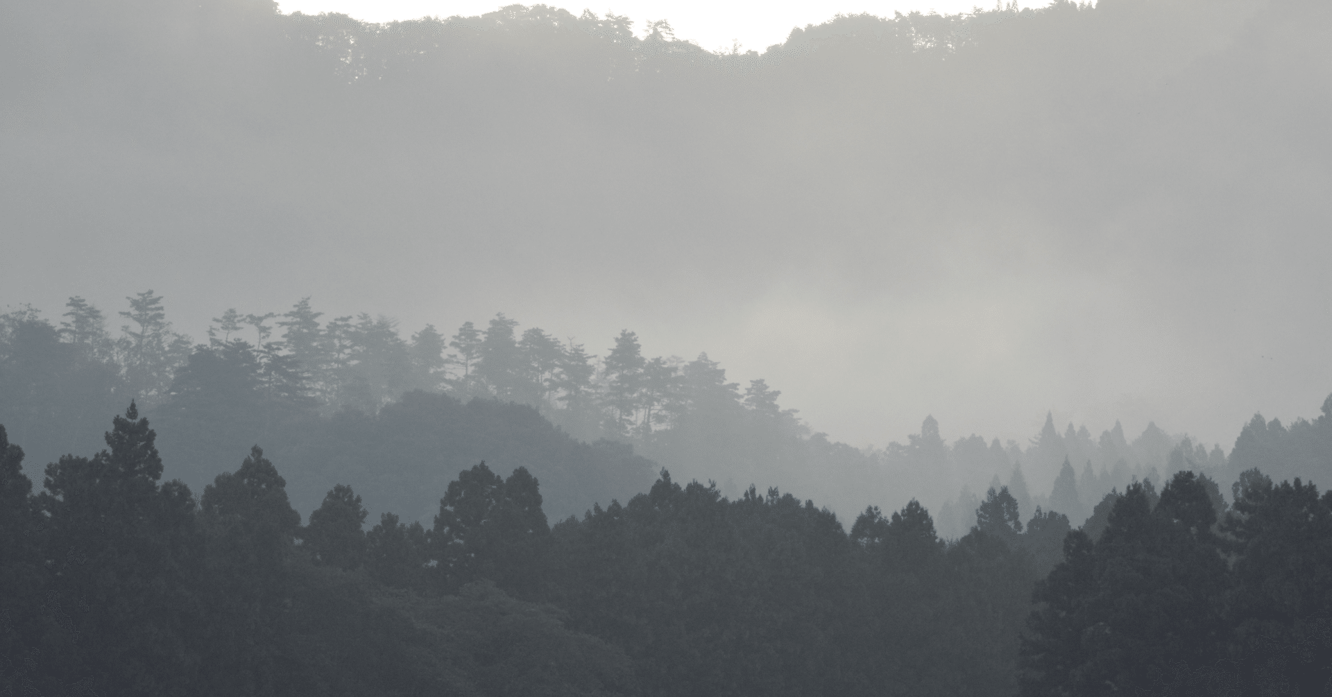 日本の黒｜JAFCA, image size:1920x1005