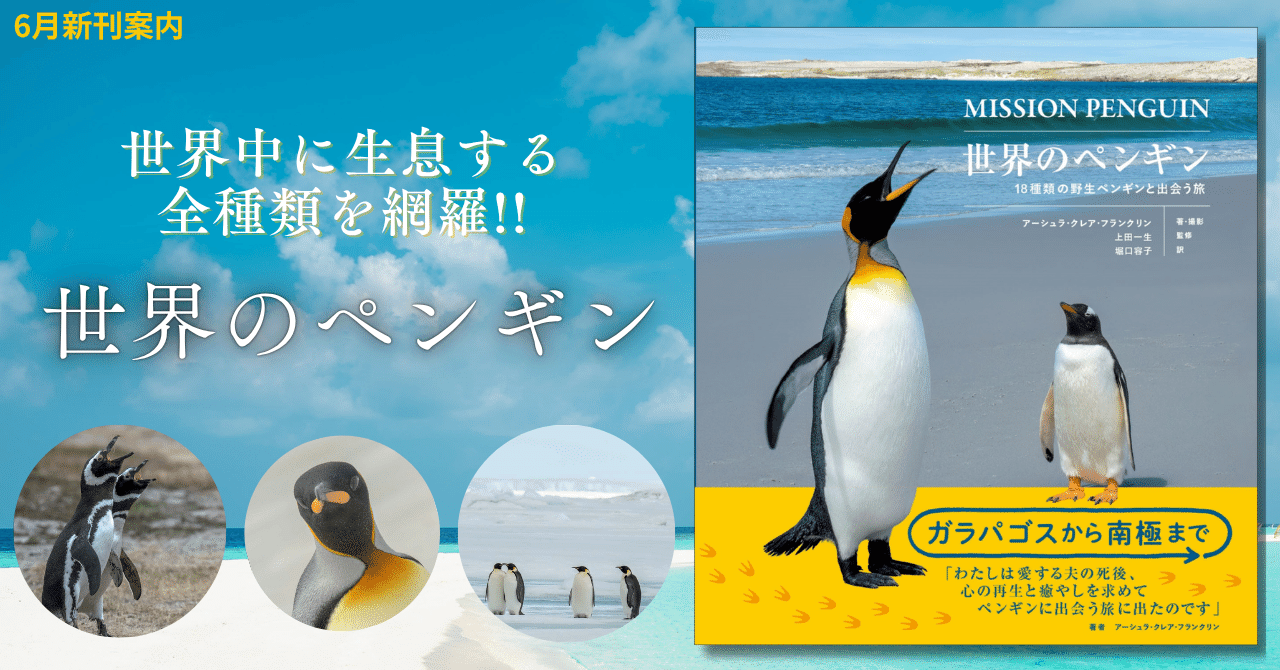 世界中に生息する全種類を網羅!!】野生ペンギンを追い続けた究極の図鑑