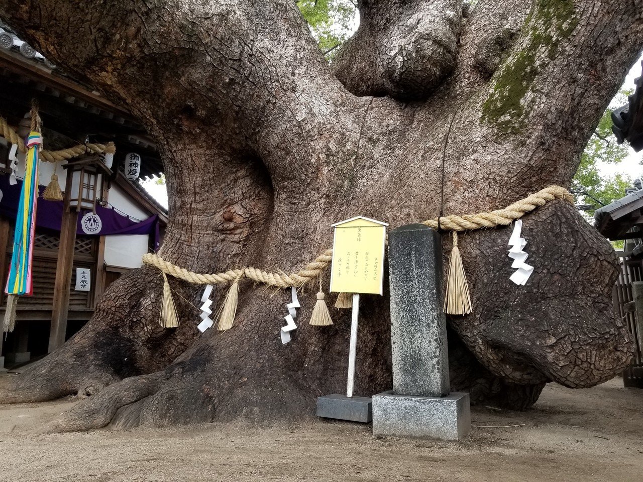 神木さま　確認用 檀木仏像 八角台座 大日如来 眼入り 飛天光背【真言宗】 | 本尊・脇侍