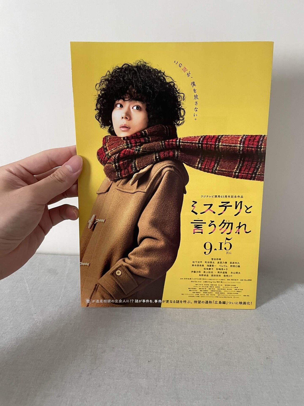 映画フライヤーなど100点以上ファイル 映画フライヤーなど100点以上ファイル