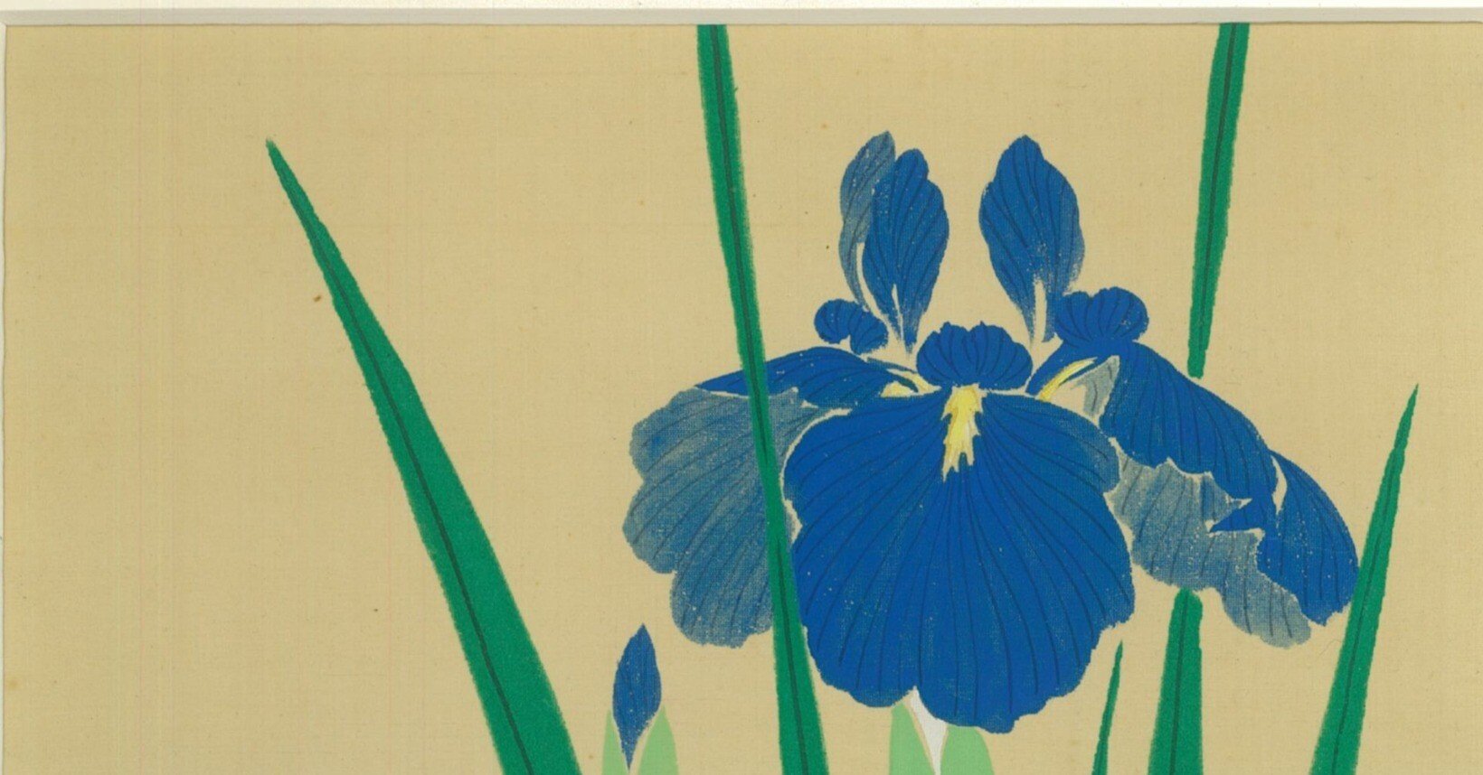 fa869a8d9782f8a6c341a1085a4d39