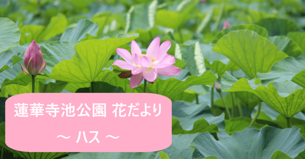 66fdbd268ae67ab7508b869d6c1348