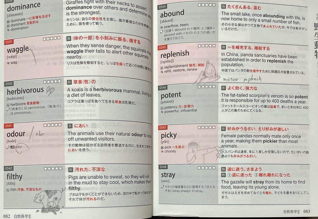 あくまで「主観」ベースな参考書紹介 - 英語｜かずまっちさん