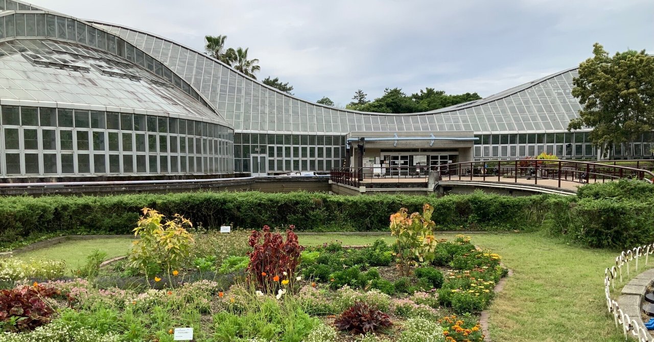 京都の花木百科 夏秋冬 京都四季の花