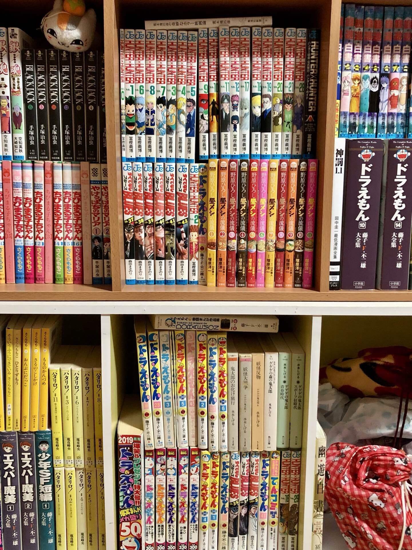持ってる漫画の数が多すぎて本棚(カラーボックス)に入り切らない🤣ww