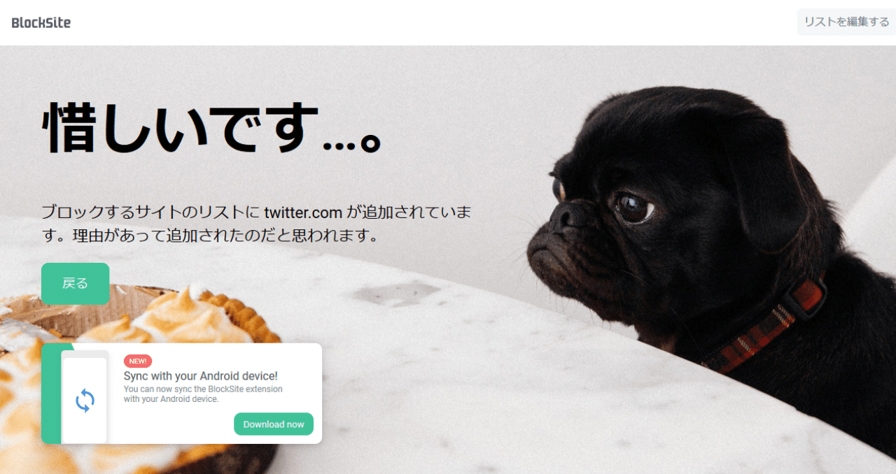 Blocksiteを活用して 時間溶解を食い止めようぜ オーノサエ Note