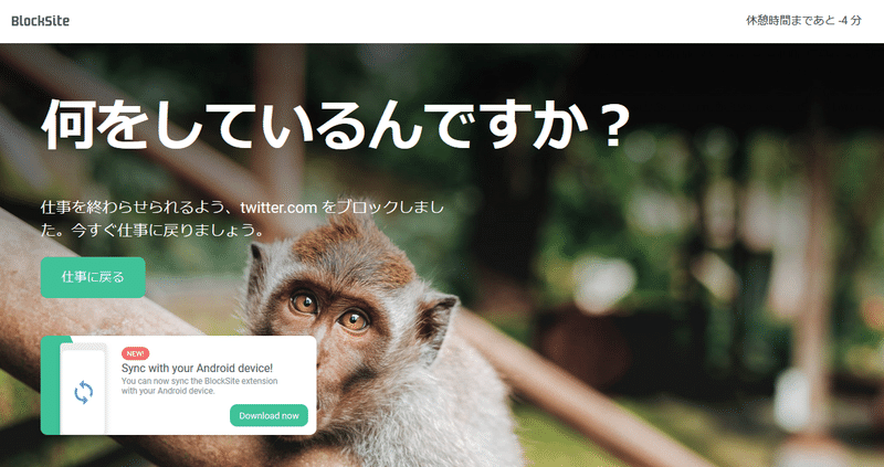 Blocksiteを活用して 時間溶解を食い止めようぜ オーノサエ Note