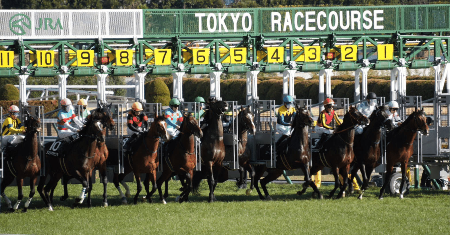 宝塚記念 2025】ほぼ全頭診断(13000字超)｜穴田広太｜競馬note