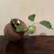 【花あわせ 草あわせ】 くさのにおいとひなたぼっこ