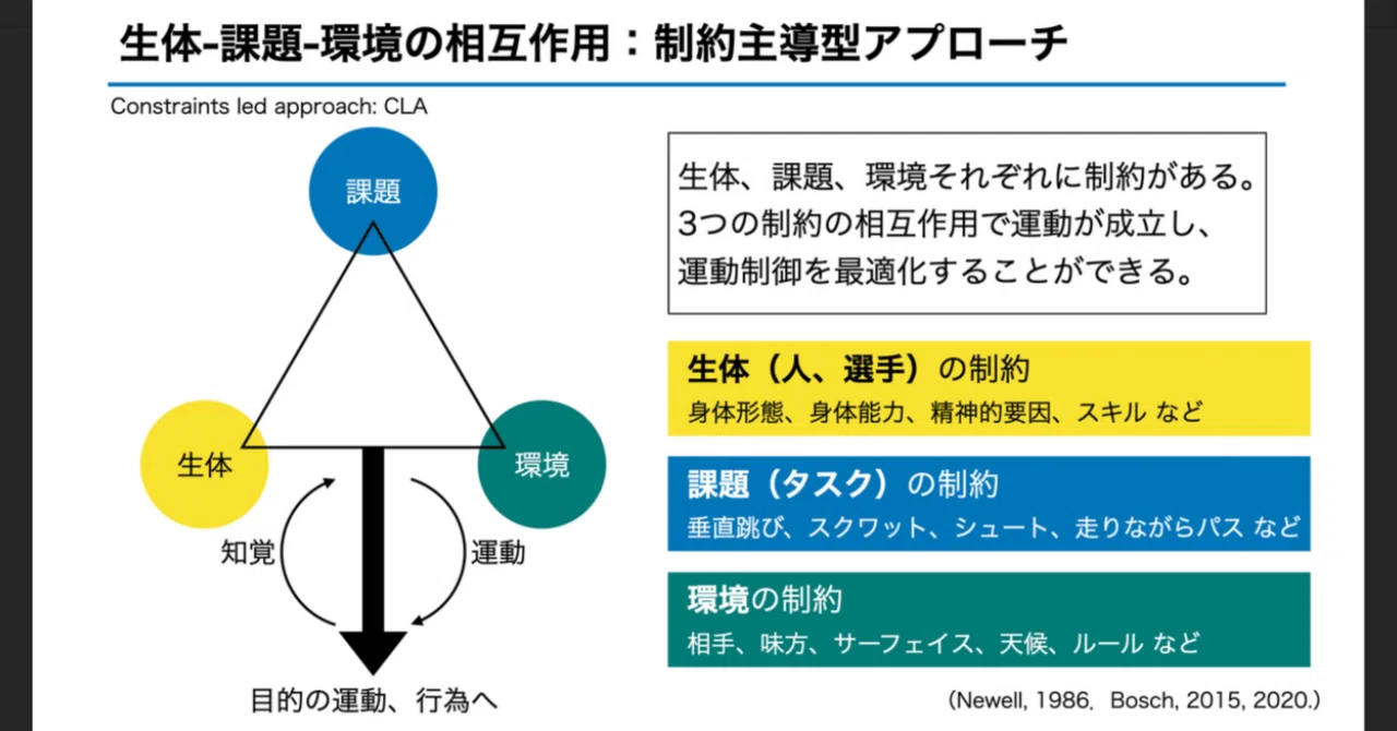 🧠制約主導アプローチ（Constraint-Led Approach）とは？―「動きを型に