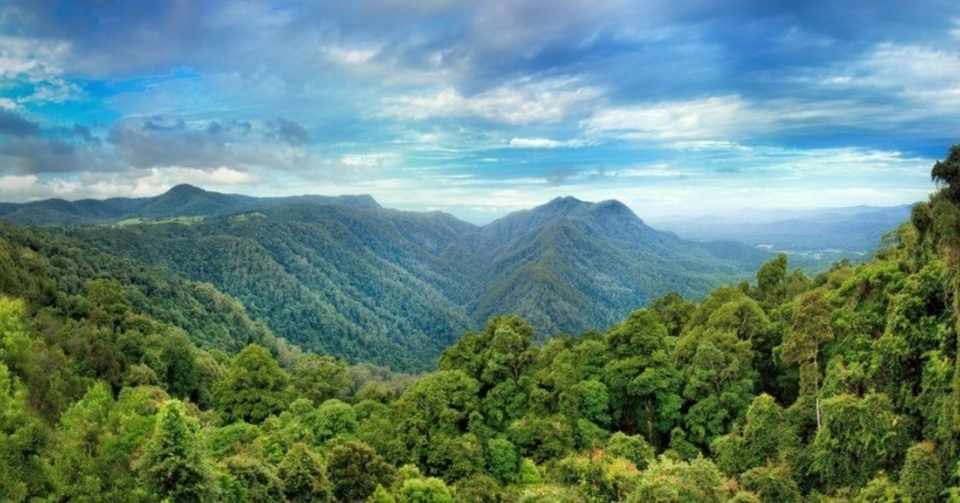 慢性 膵炎 短命