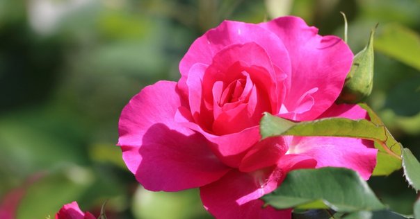 ヨーヨー en コノハナサクヤ ミニサイズモノメタルモデル「木花咲耶(コノハナサクヤ)」｜en