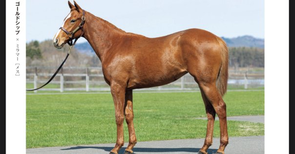 GⅠ勝ち馬考察：メイショウタバル（宝塚記念）｜配合パズル工房