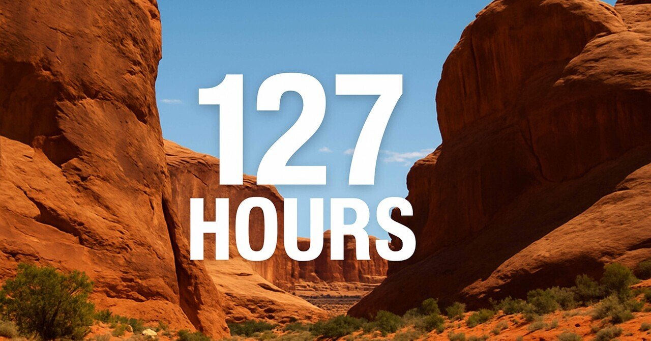 映画「127時間」感想｜ちなこ/猫と映画好き