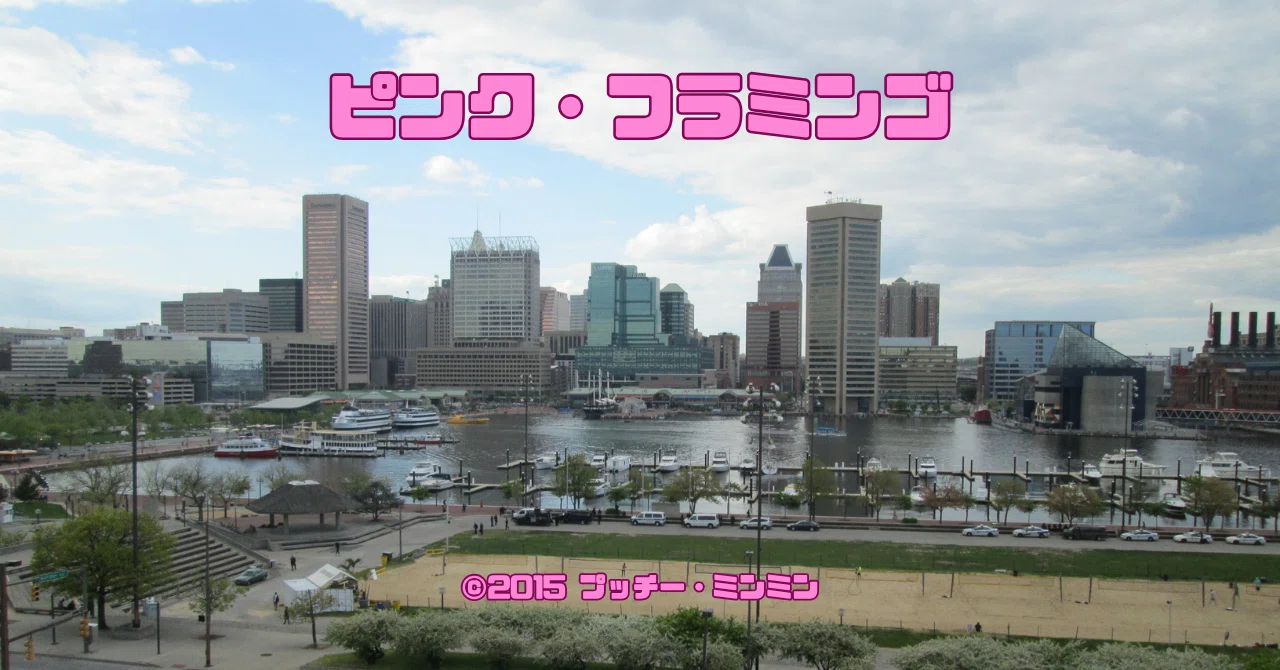 0092 ジョン・ウォーターズ監督『ピンク・フラミンゴ』聖地巡礼