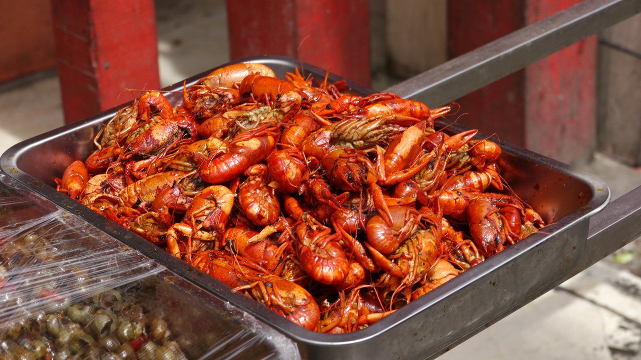 中国でもザリガニは食べるみたいだけど どうにも食指が動かない 小学生時代 さんざんザリガニを捕まえて 家で飼って あんまり水を変えなくて すっごく臭くなった思い出があるからだと思う Meguru Ishida Note