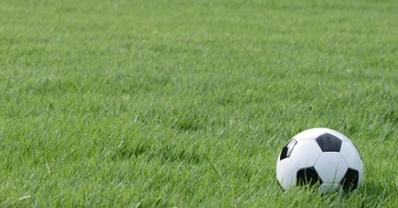 サッカー スペイン ポルトガルで人種差別問題が頻発する 多々野親父 Note