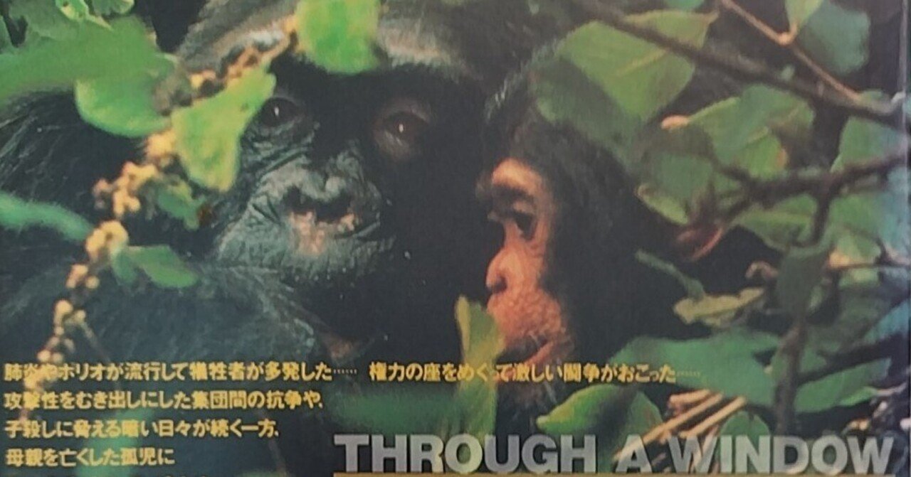 野生動物と向き合うってなに？／書籍「心の窓 （Jane goodall