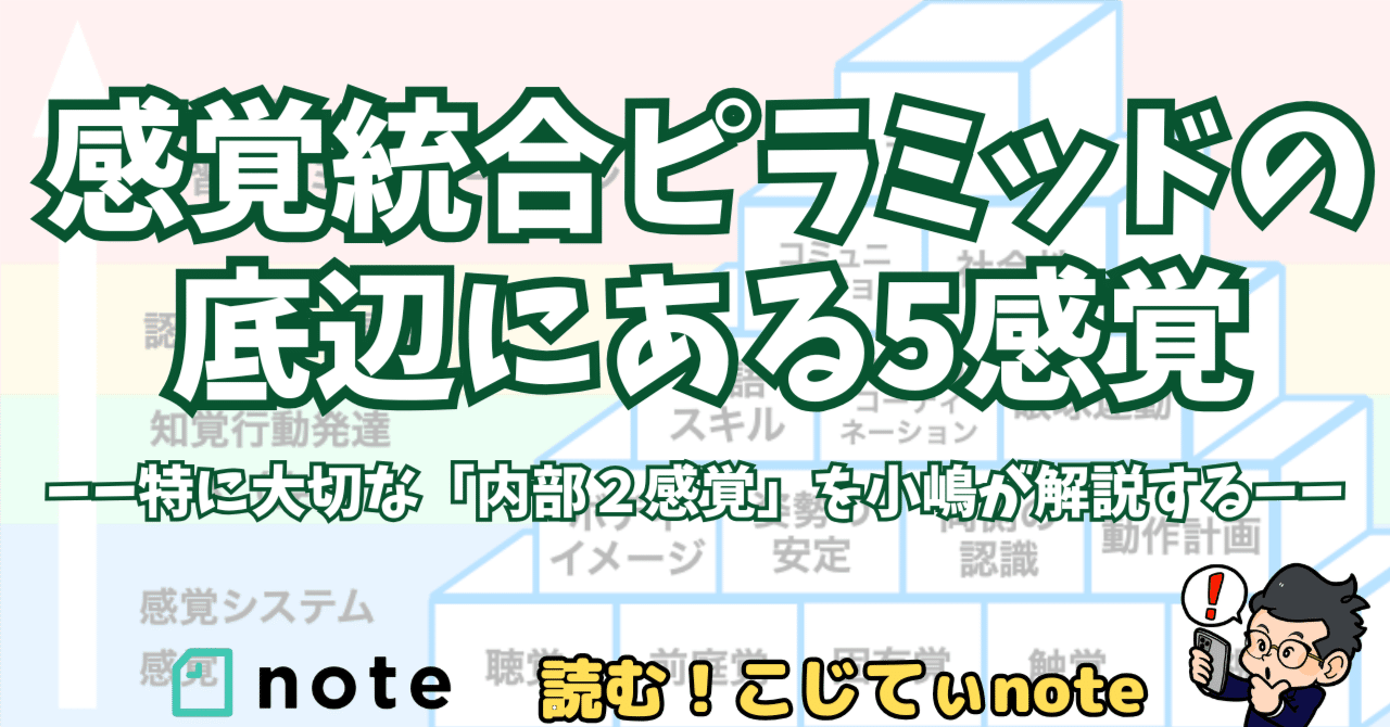 感覚統合ピラミッドの底辺にある5感覚 ーー特に大切な「内部2感覚」を