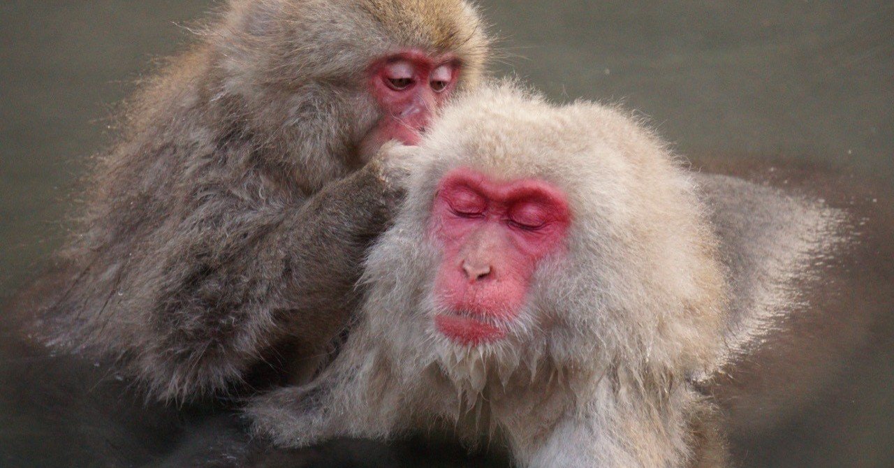 絶頂睡眠 悟空のきもち 体験レポート ぶんぶん Note継続1年経過 Note 絶頂睡眠 悟空のきもち 体験レポート ぶんぶん Note継続1年経過 Note