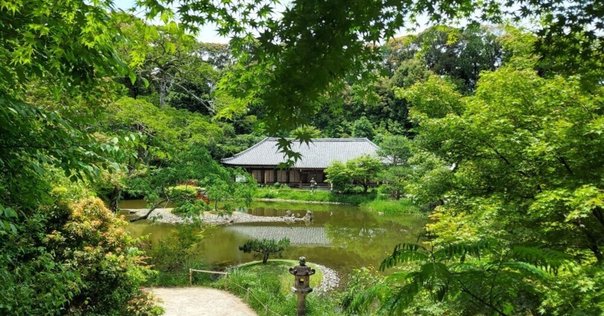 良 大徳寺僧堂師家【川島昭隠(槐安軒)】『金泥紅葉画賛』紙本 不仙斎識箱 風流六寄仙・僧正遍昭 春信 jpsharunobu20 – 重右衛門