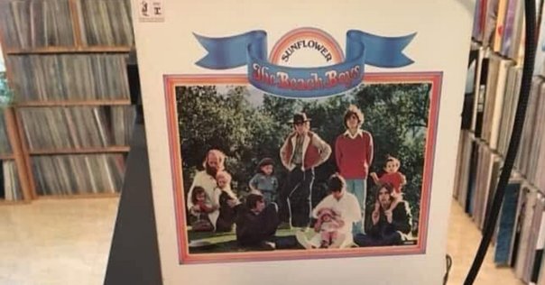 【新品未開封】【レコード】Beach Fossils バニー Beach Fossils『Bunny』LP