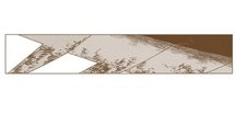 カグラバチ 双城厳一 まとめ売り 2025年6月発売『カグラバチ』双城厳一 バースデイ商品: |集英社