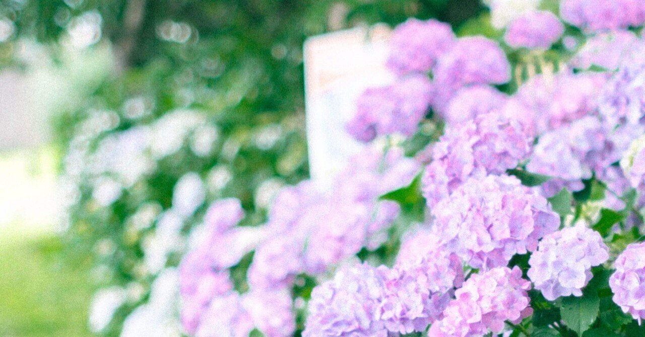 All flowers⭐️新品レア含む6枚set⭐️ラベンダー カモミール 紫陽花 紫陽花|ay__moon