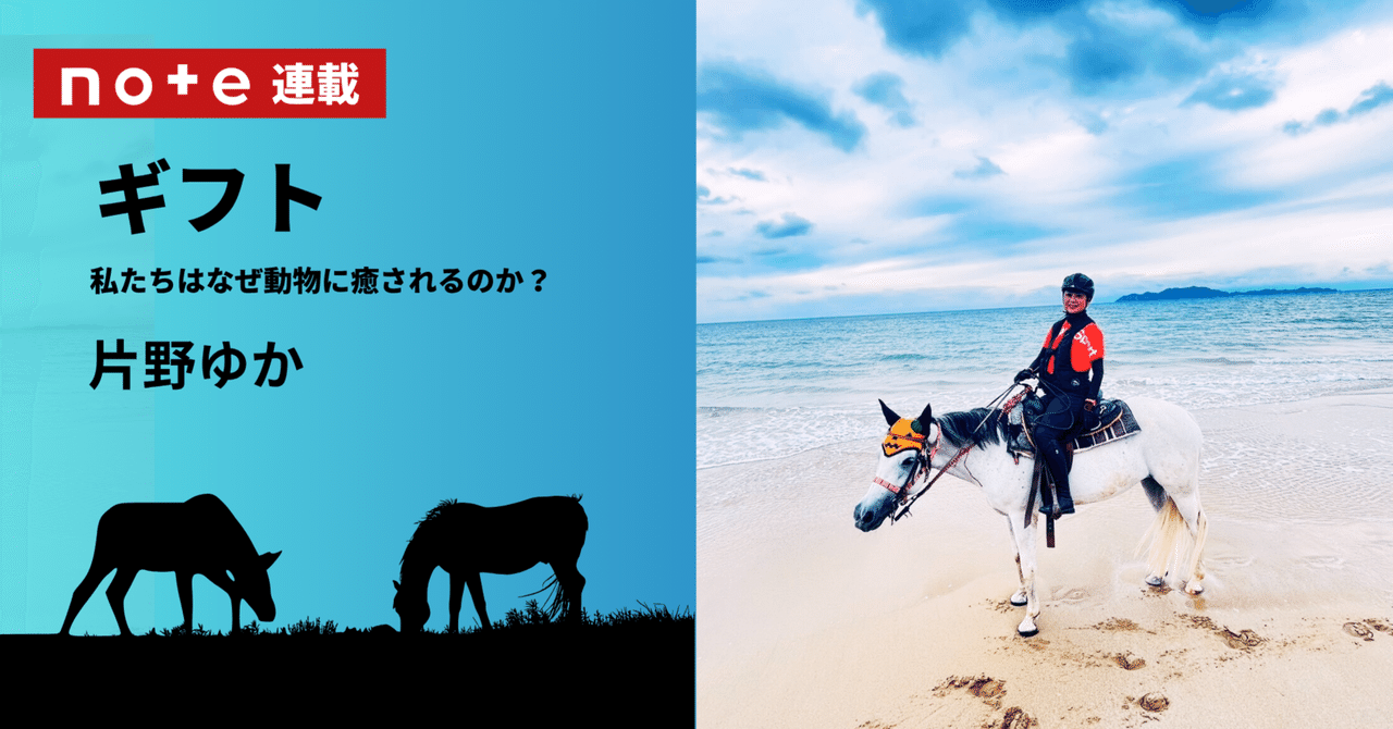 ギフト 私たちはなぜ動物に癒されるのか？｜第1回 馬と走って