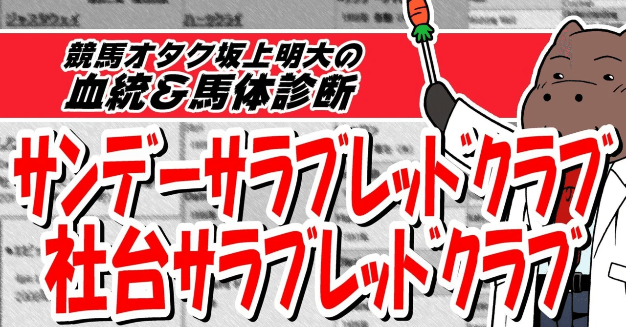2024年産】サンデーTC＆社台TC募集馬診断 血統＆馬体（坂上明大