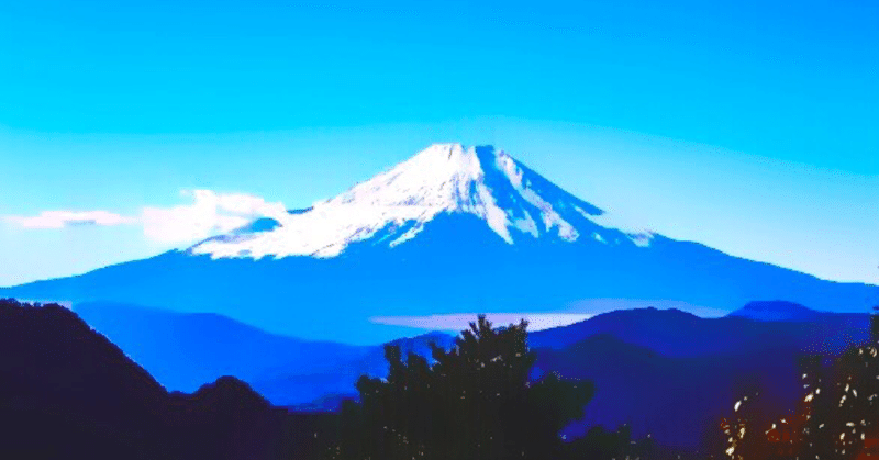 ✨🔮【占い部 お悩み相談室】🔮✨『ポン酢 さんの鑑定結果』