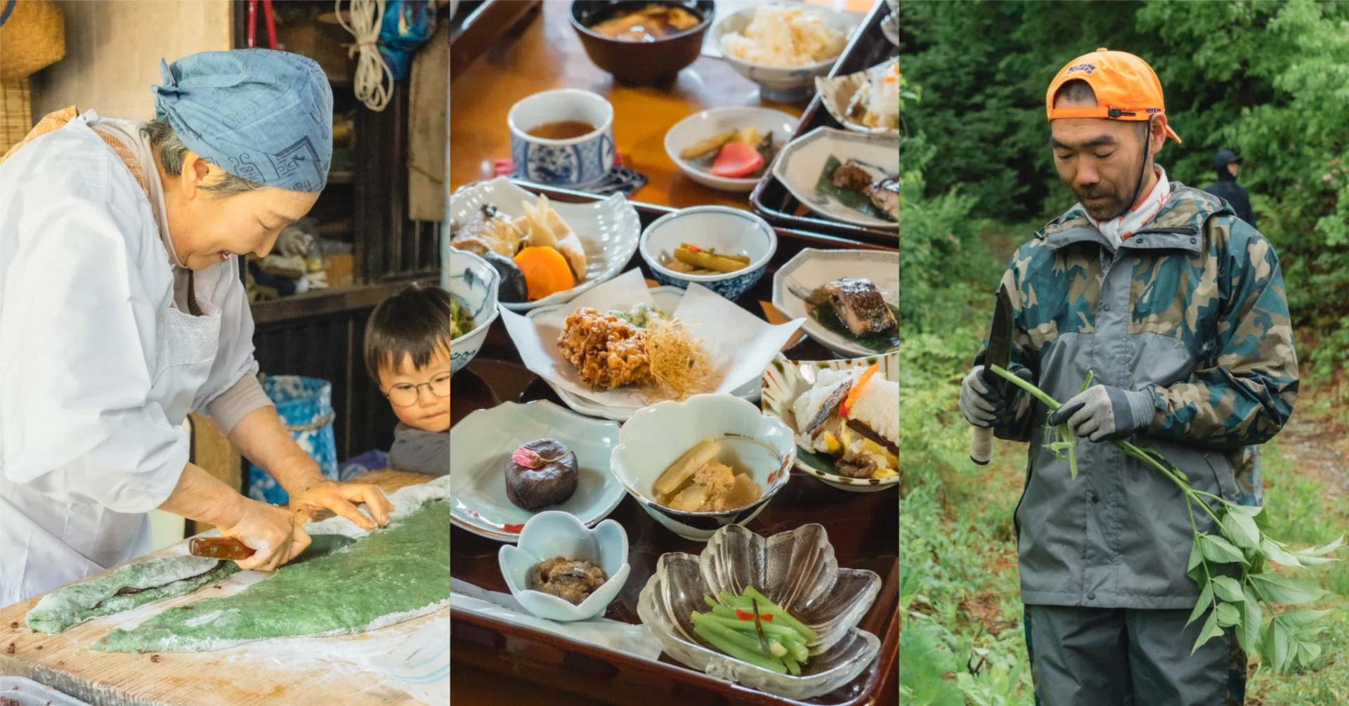 山菜料理専門家 受け継がれる山菜へのまなざし。北東北の山菜食文化と向き合う旅