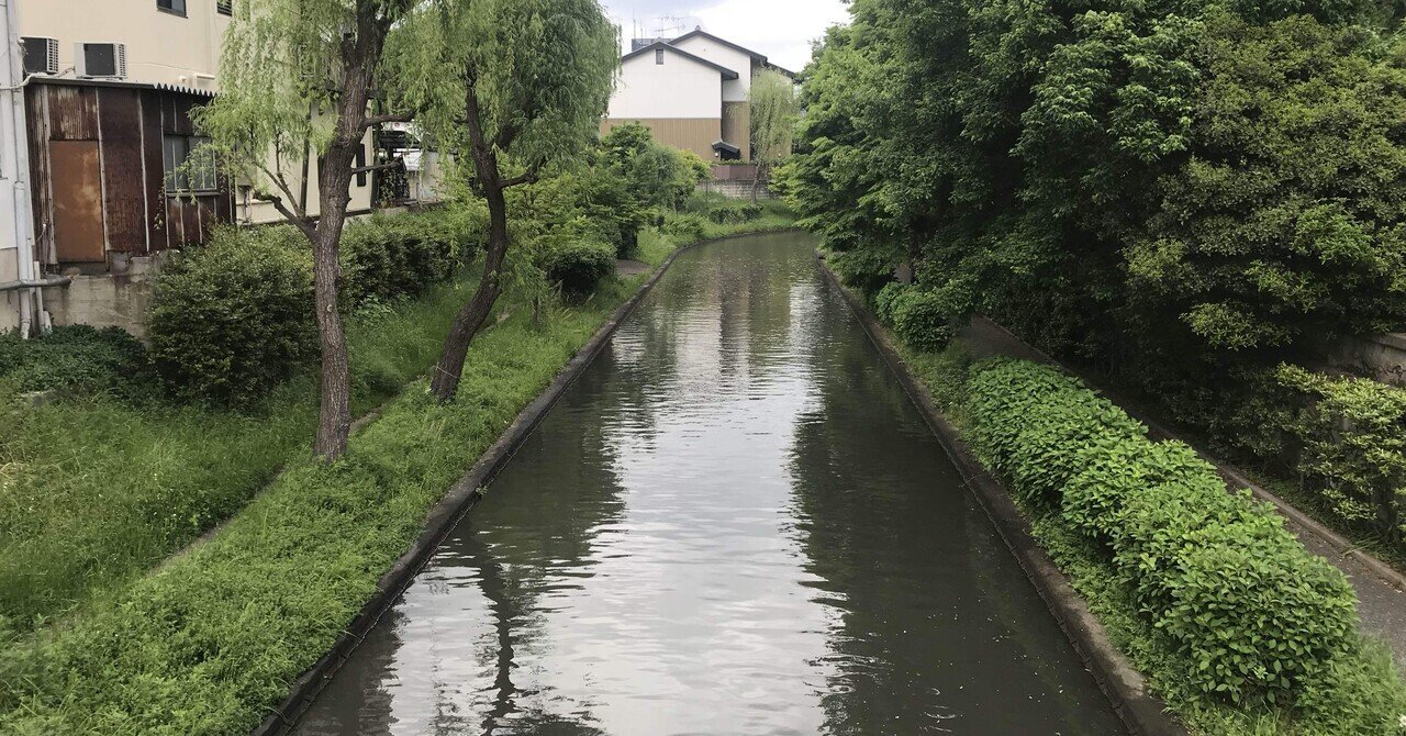 【中古】 日本の酒５０００年/技報堂出版/加藤百一 日本の酒5000年 | 加藤 百一 |本 | 通販 | Amazon