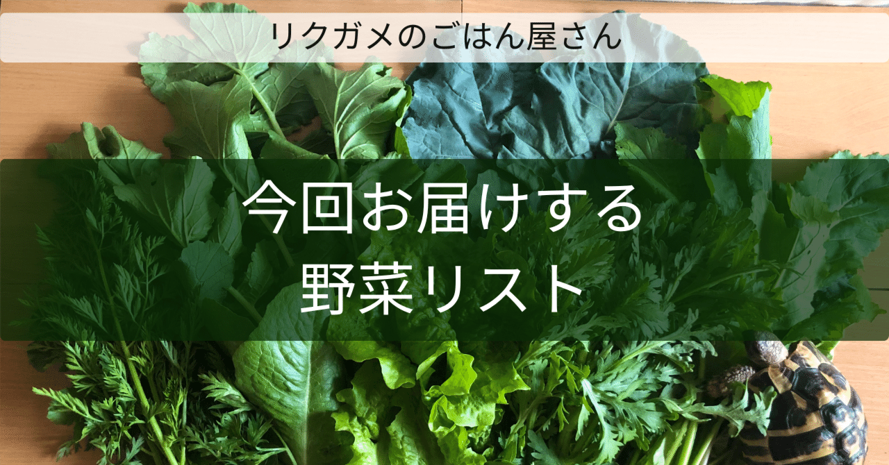 2025.12.29 更新】今回お届けする野菜リスト｜リクガメのごはん屋さん