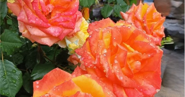 ミニサイズモノメタルモデル「木花咲耶(コノハナサクヤ)」｜en