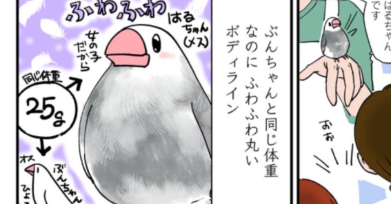 はるちゃん オオノジュンコ 文鳥漫画電子書籍発売中 Note