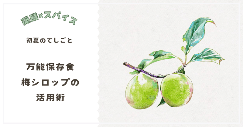 飲むだけじゃもったいない！初夏の万能保存食、梅シロップ活用方法